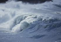 Forces_of_nature_019.jpg