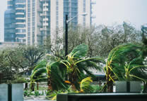 Forces_of_nature_030.jpg