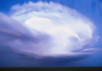 Forces_of_nature_034.jpg