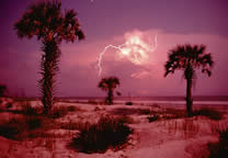 Forces_of_nature_044.jpg