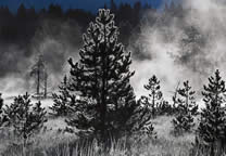 Forces_of_nature_046.jpg