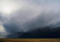 Forces_of_nature_052.jpg