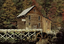 Forests020.jpg