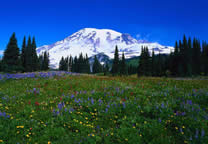 Mountains036.jpg