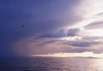 Oceans015.jpg