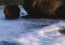 Oceans042.jpg