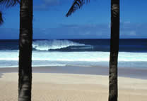 Tropics013.jpg