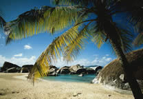 Tropics014.jpg