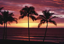 Tropics017.jpg