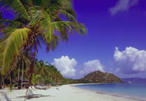 Tropics019.jpg