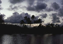 Tropics020.jpg