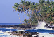 Tropics021.jpg