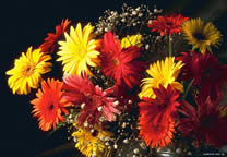 flower_010.jpg