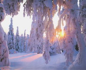 misc_00009.jpg