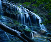 misc_00048.jpg