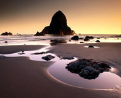 misc_00049.jpg