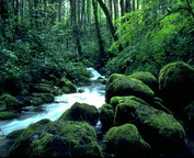 misc_00051.jpg