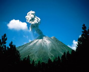 misc_00077.jpg