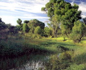 misc_00080.jpg