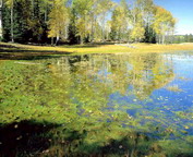 misc_00081.jpg