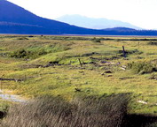 misc_00089.jpg