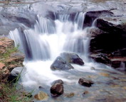 misc_00090.jpg