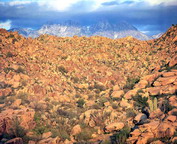 misc_00093.jpg
