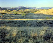 misc_00098.jpg