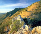 misc_00099.jpg
