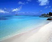 misc_00110.jpg