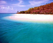misc_00114.jpg