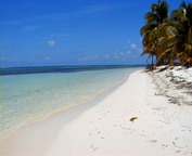 misc_00118.jpg