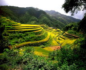 misc_00303.jpg