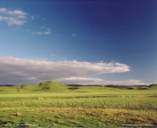 misc_00377.jpg