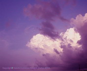 misc_00379.jpg