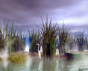 misc_00452.jpg