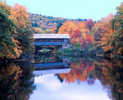 misc_00453.jpg