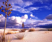 misc_00526.jpg