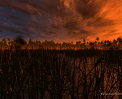 misc_00681.jpg