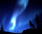 misc_00688.jpg