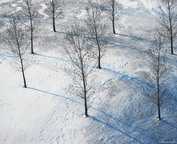 misc_00698.jpg