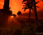 misc_00757.jpg