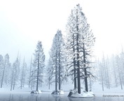 misc_00758.jpg