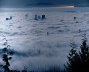 misc_00773.jpg