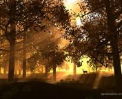 misc_00865.jpg