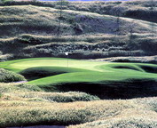 misc_00875.jpg