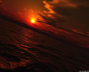 misc_00882.jpg