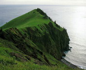 misc_00900.jpg