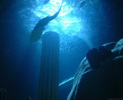 misc_00918.jpg