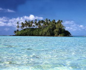 misc_00954.jpg